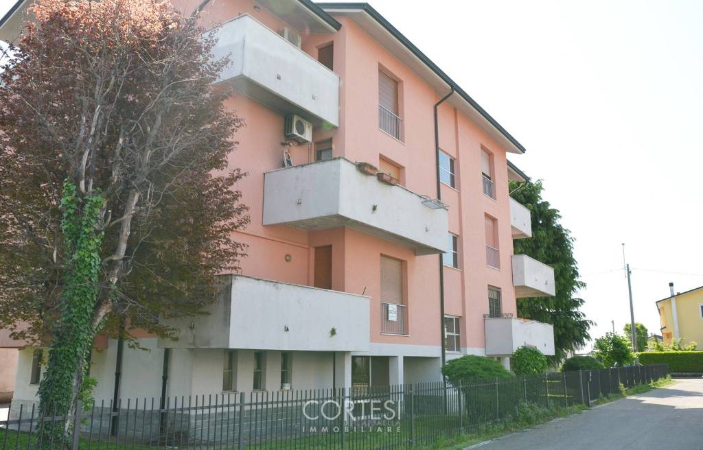 immagine annuncio 12 di 14