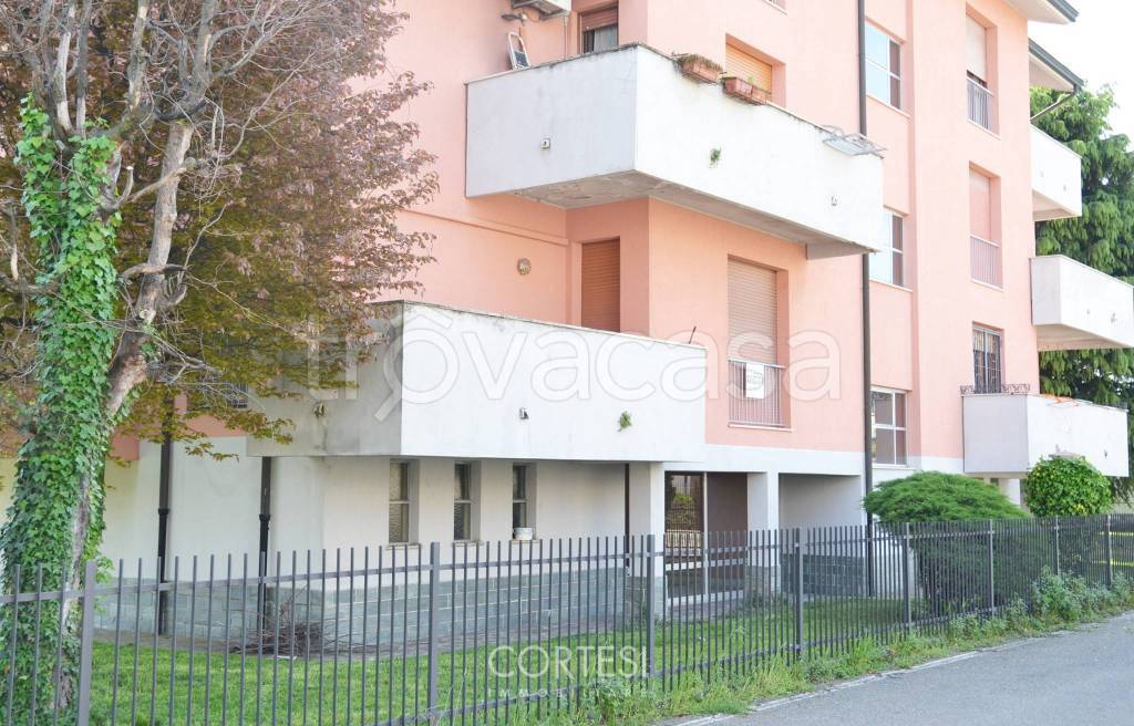 immagine annuncio 13 di 14