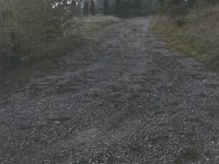 Terreno agricolo all'asta a bodio lomnago via risorgimento, 2