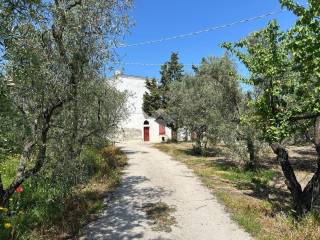 Terreno agricolo in vendita a cerignola terreno cerignola campagna