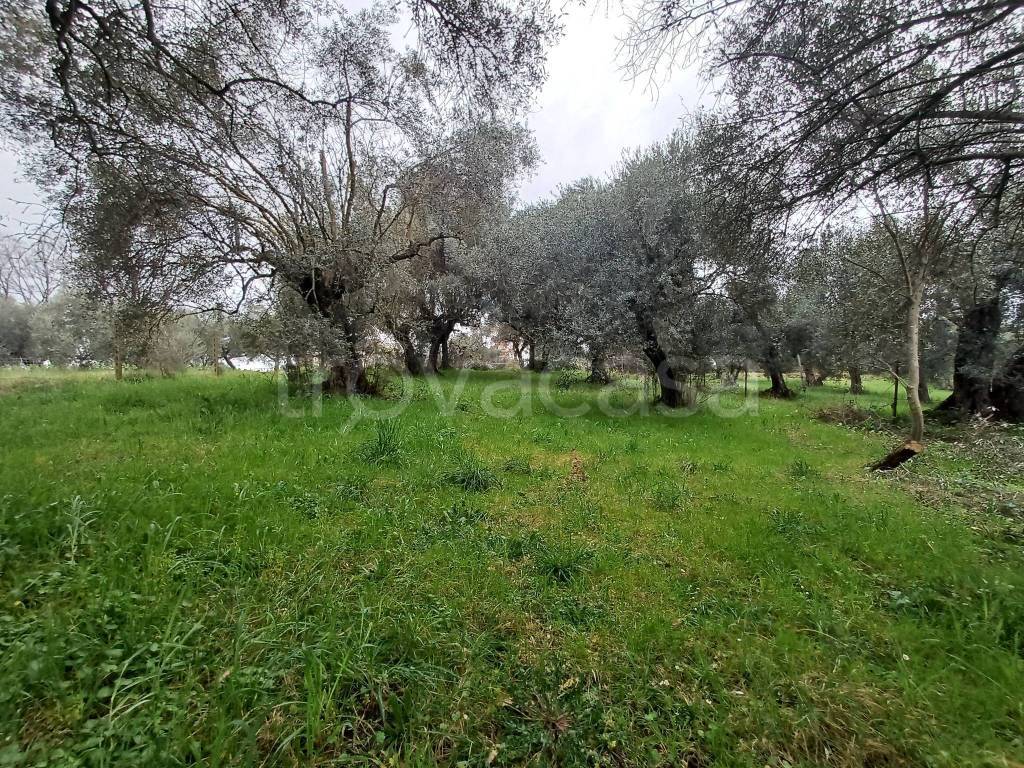 immagine annuncio 5 di 13