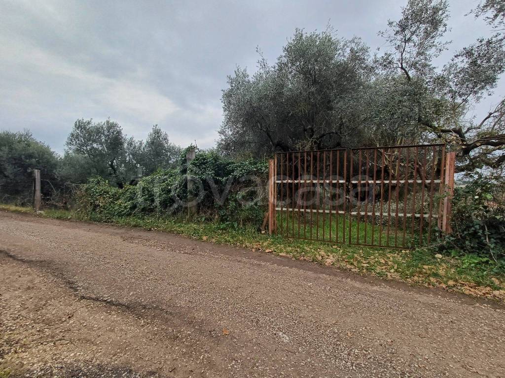 immagine annuncio 11 di 13