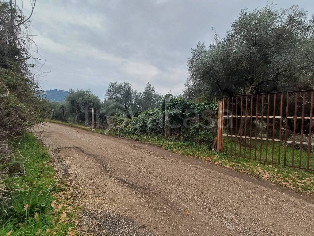 immagine annuncio 12 di 13