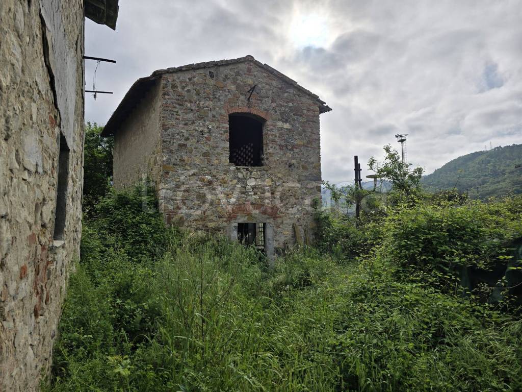 immagine annuncio 2 di 12