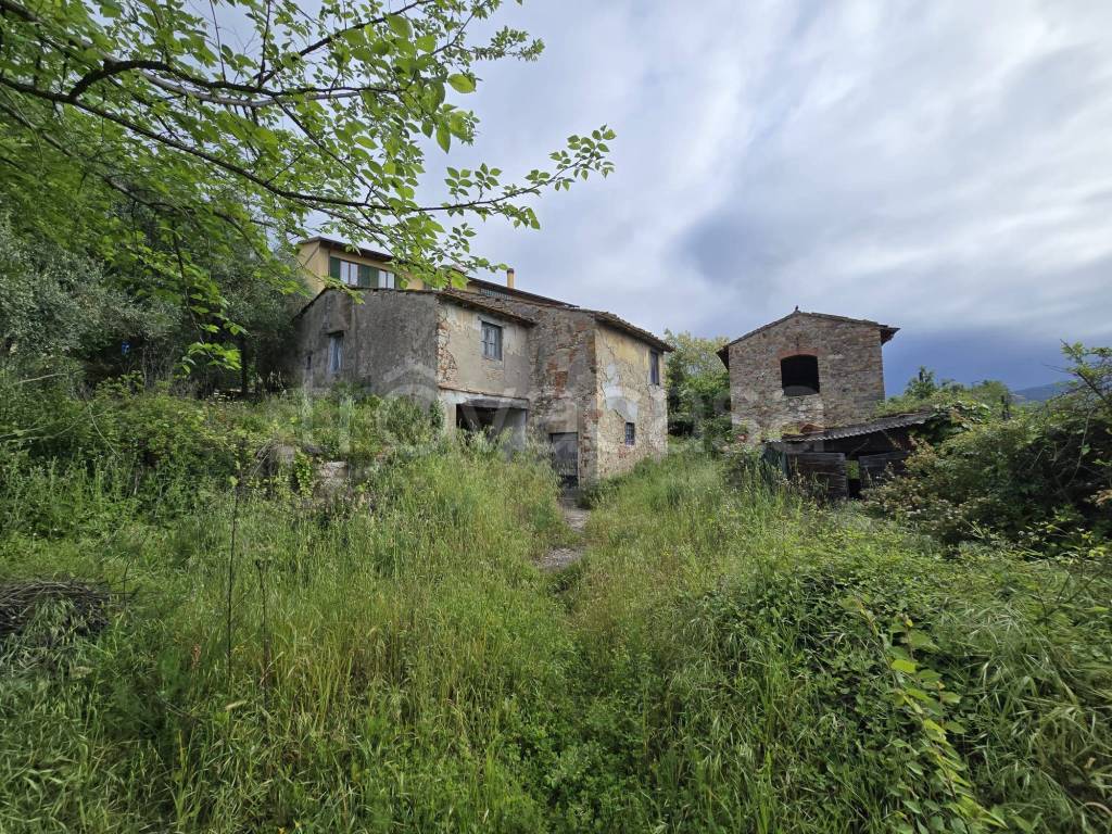 immagine annuncio 1 di 12