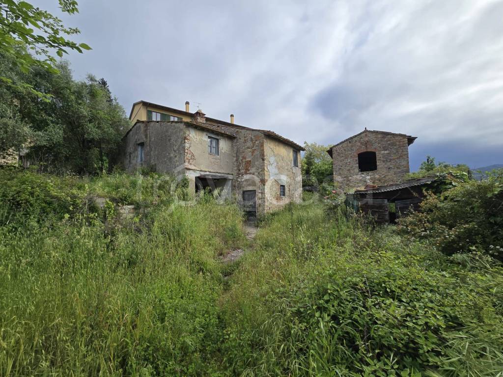 immagine annuncio 4 di 12