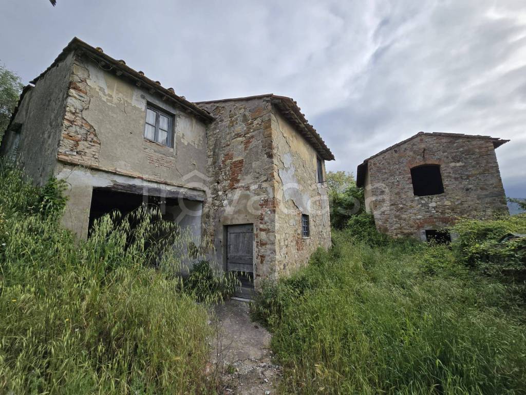 immagine annuncio 3 di 12