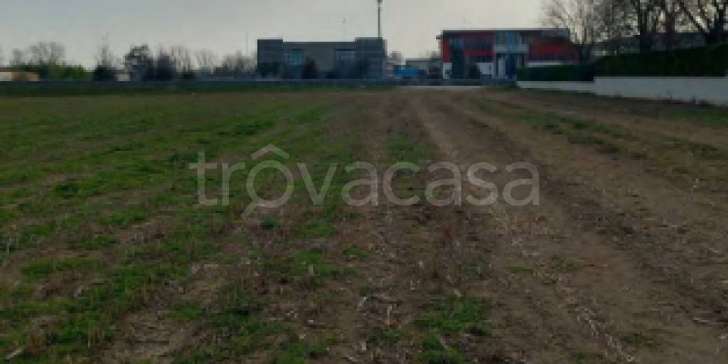 immagine annuncio 6 di 12