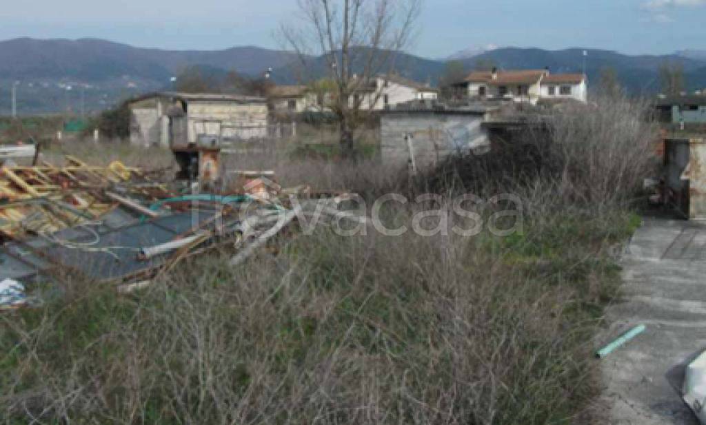 immagine annuncio 4 di 12