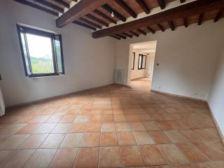 Appartamento in in affitto da privato a castelvetro di modena via rolda