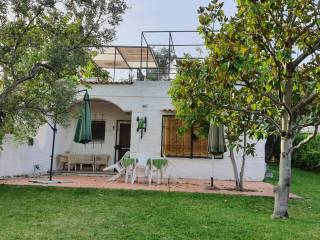 Villa a schiera in in affitto da privato a montauro costaraba
