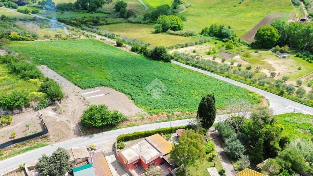 immagine annuncio 2 di 8