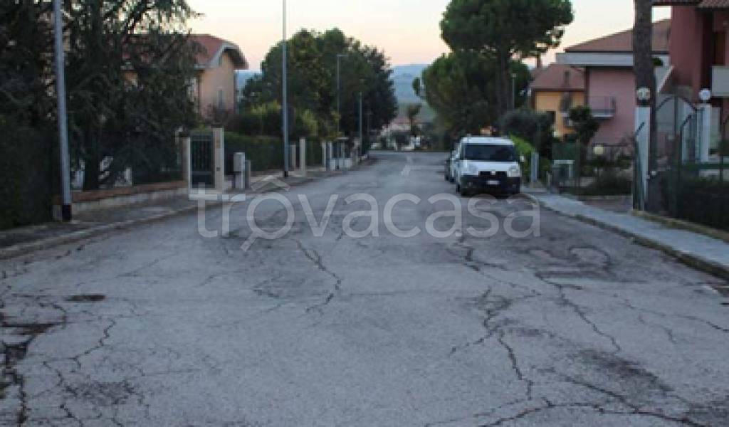 immagine annuncio 3 di 11