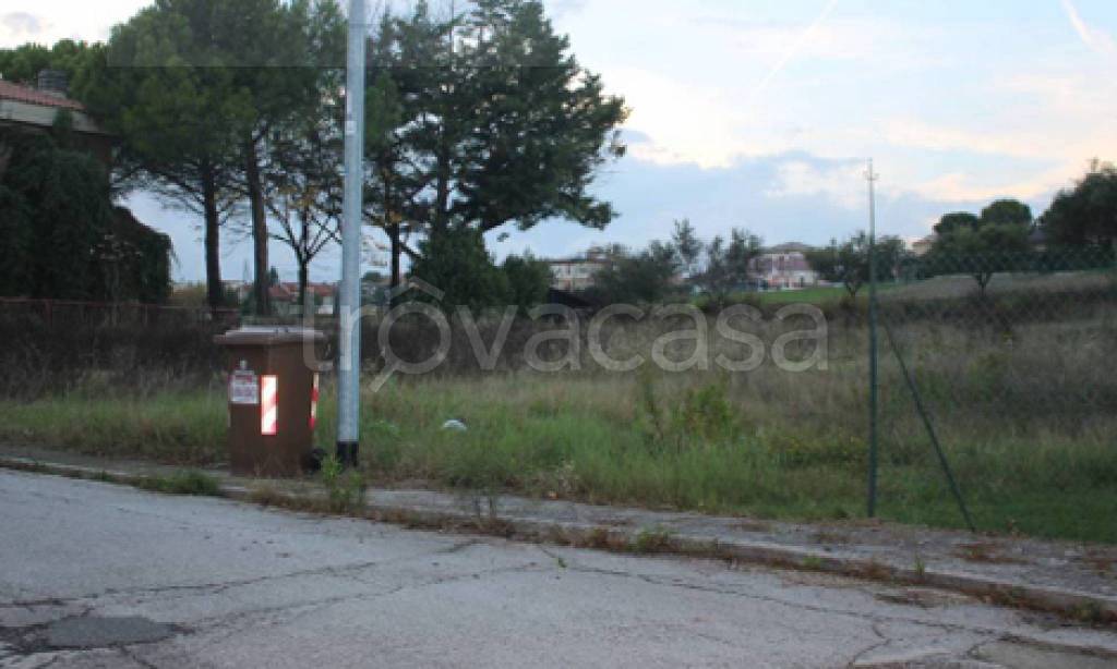 immagine annuncio 4 di 11
