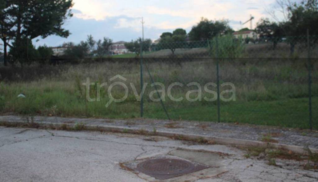 immagine annuncio 5 di 11