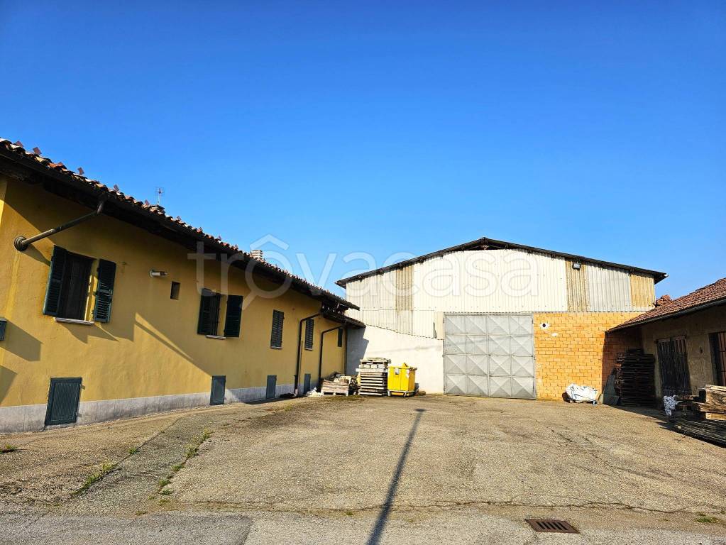 immagine annuncio 4 di 12
