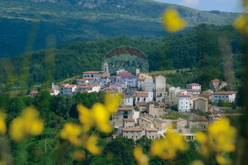 immagine annuncio 8 di 12