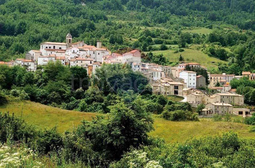 immagine annuncio 9 di 12