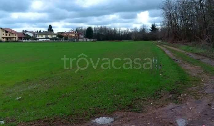 immagine annuncio 2 di 9