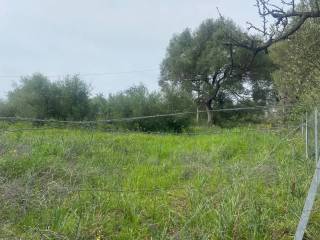 Terreno agricolo in vendita a orosei località santa lucia