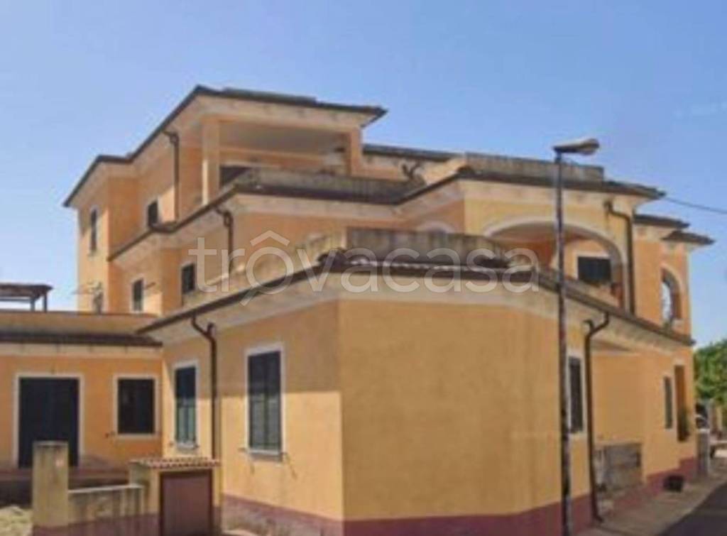 immagine annuncio 11 di 13