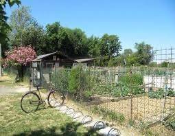 Terreno agricolo in vendita a garbagnate milanese via fontana