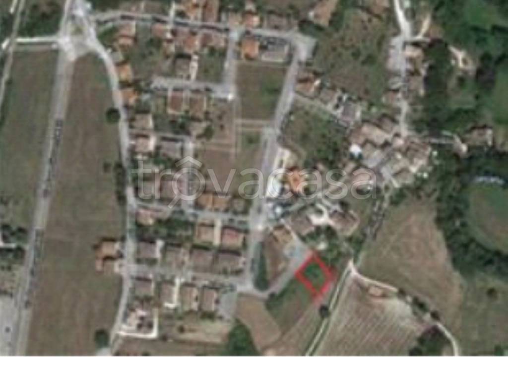 immagine annuncio 5 di 12