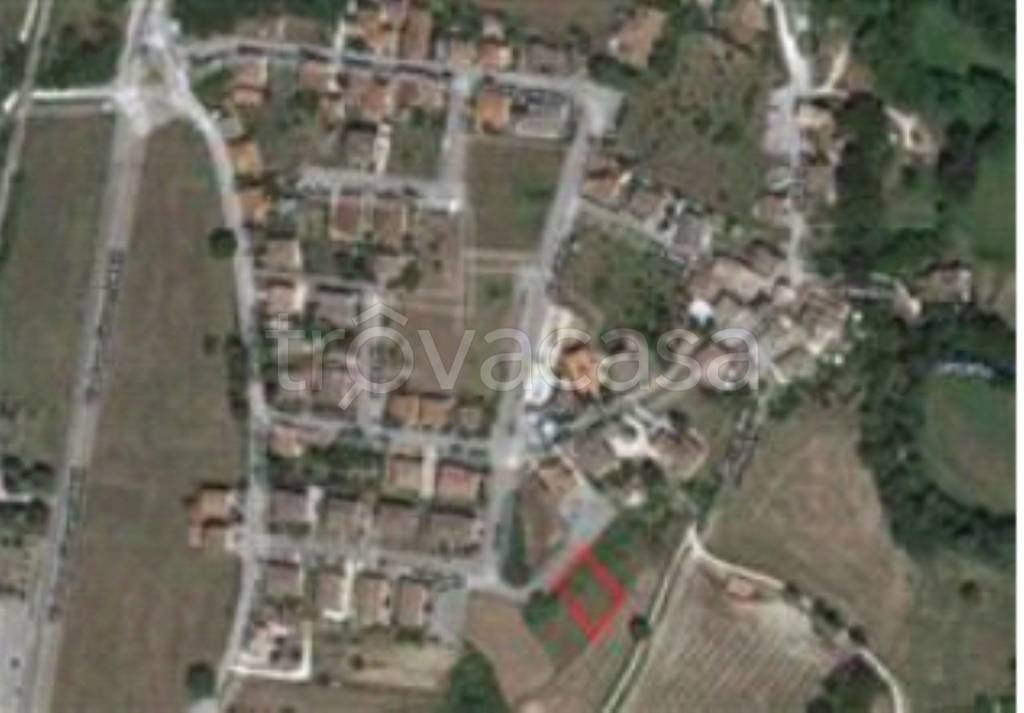 immagine annuncio 5 di 12