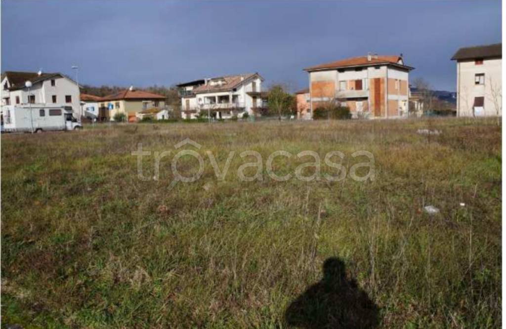 immagine annuncio 6 di 12