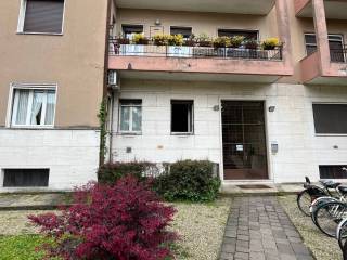Loft in in affitto da privato a pavia piazza san pietro in ciel d'oro, 16