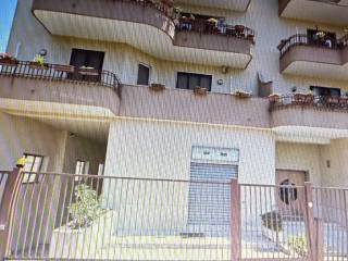 Intero stabile in in vendita da privato a trepuzzi via campi, 19