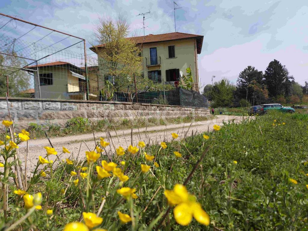 immagine annuncio 3 di 13