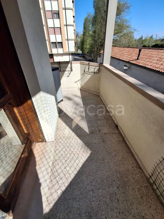 immagine annuncio 12 di 14