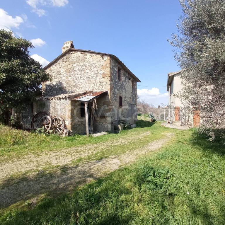 immagine annuncio 6 di 8