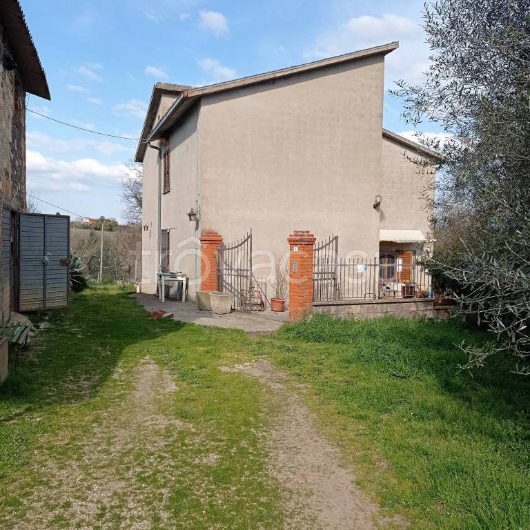 immagine annuncio 4 di 8