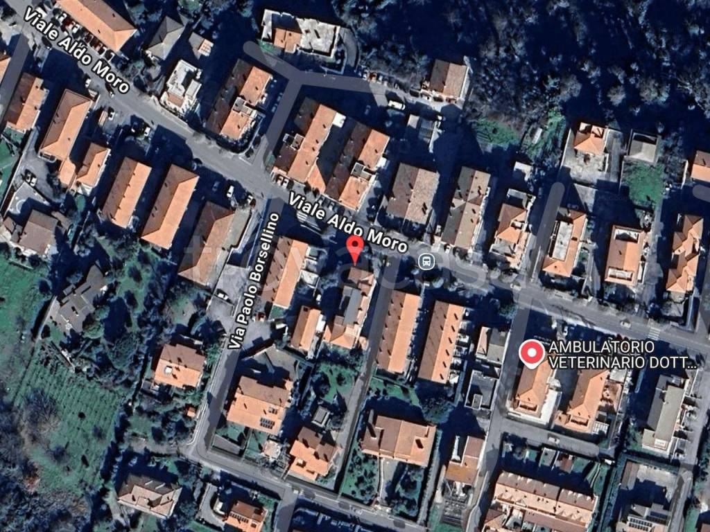 immagine annuncio 1 di 11