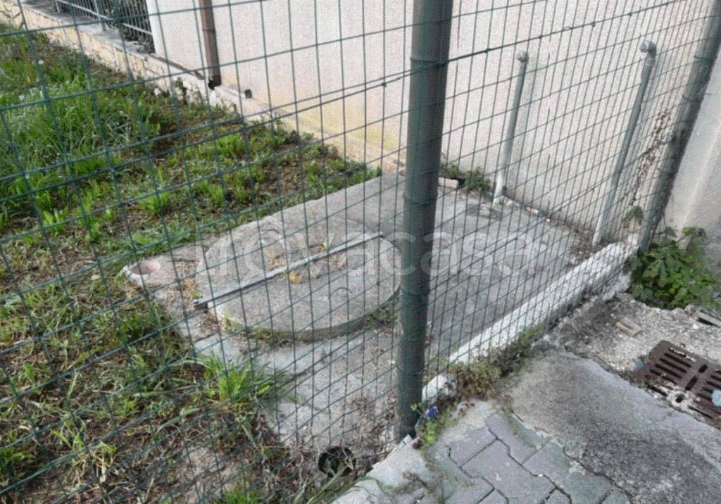 immagine annuncio 3 di 12