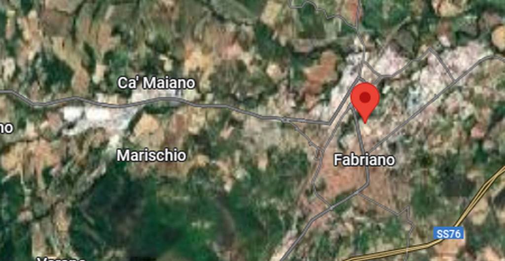 immagine annuncio 3 di 11