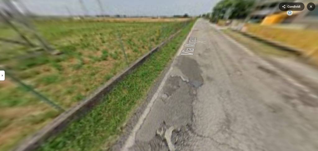immagine annuncio 6 di 13