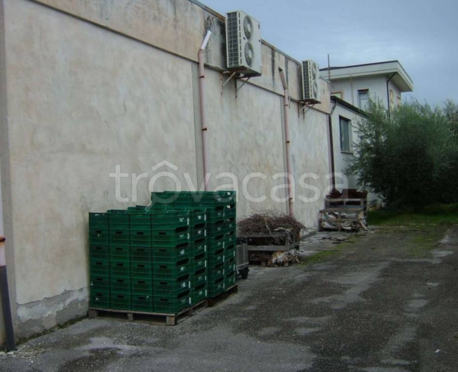immagine annuncio 6 di 14