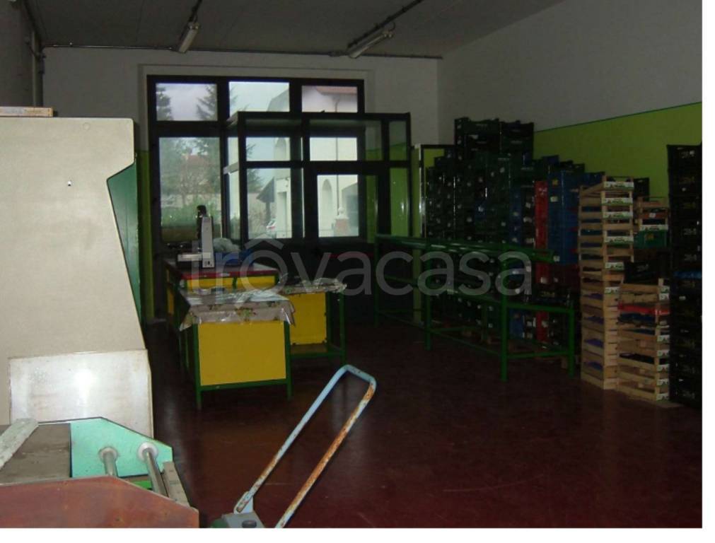 immagine annuncio 7 di 14