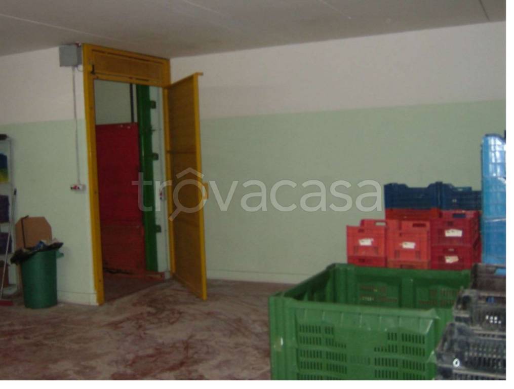 immagine annuncio 8 di 14