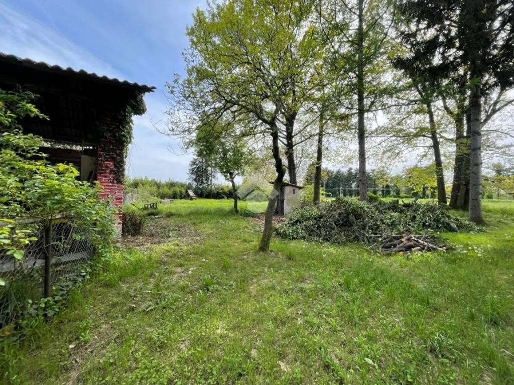 immagine annuncio 4 di 15