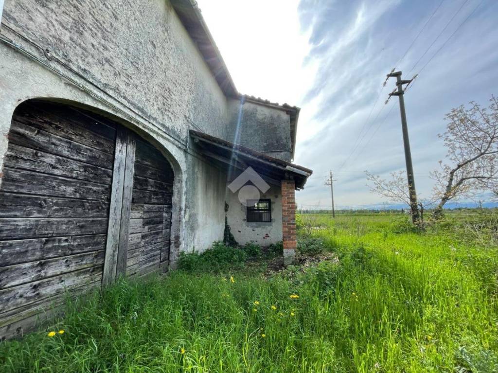 immagine annuncio 9 di 14