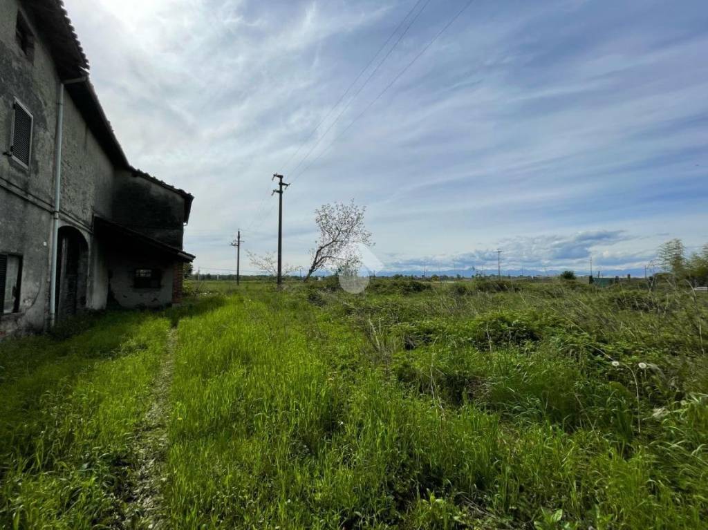 immagine annuncio 12 di 14