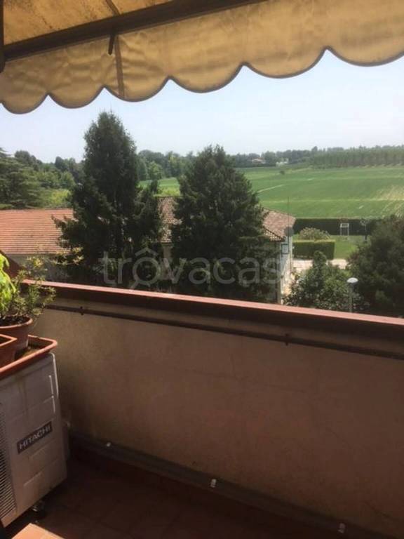 immagine annuncio 11 di 12