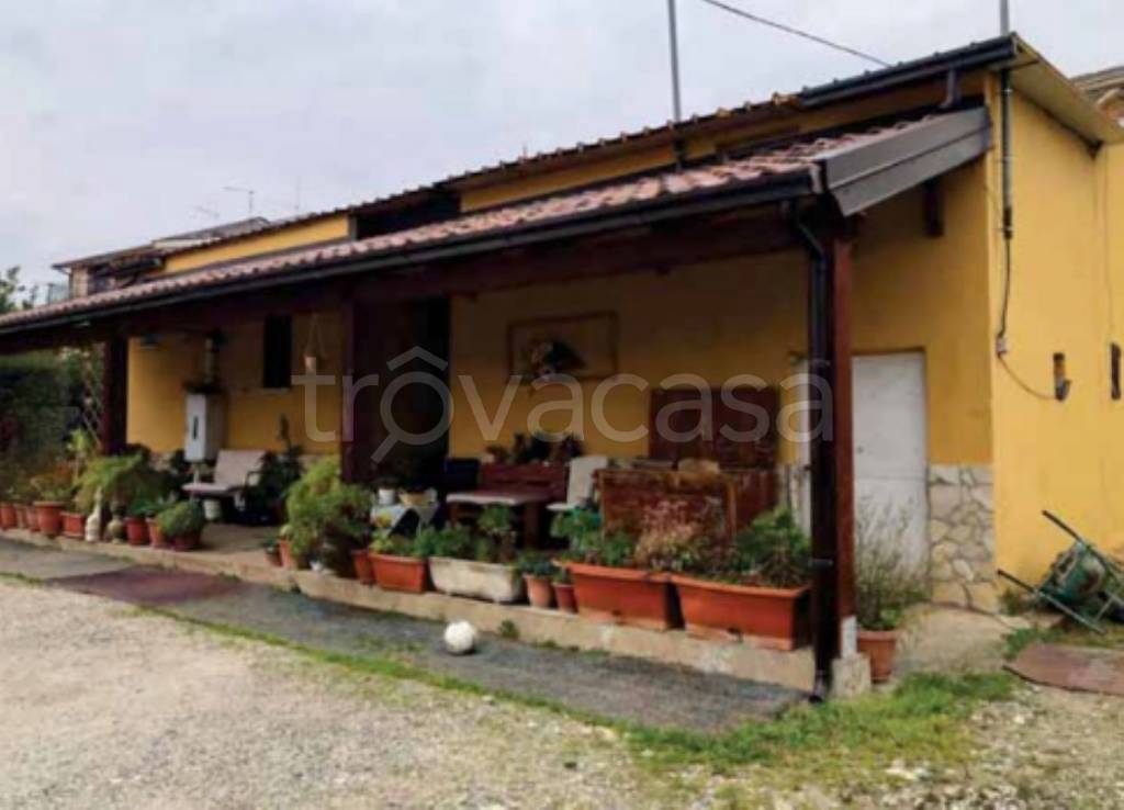 immagine annuncio 2 di 9