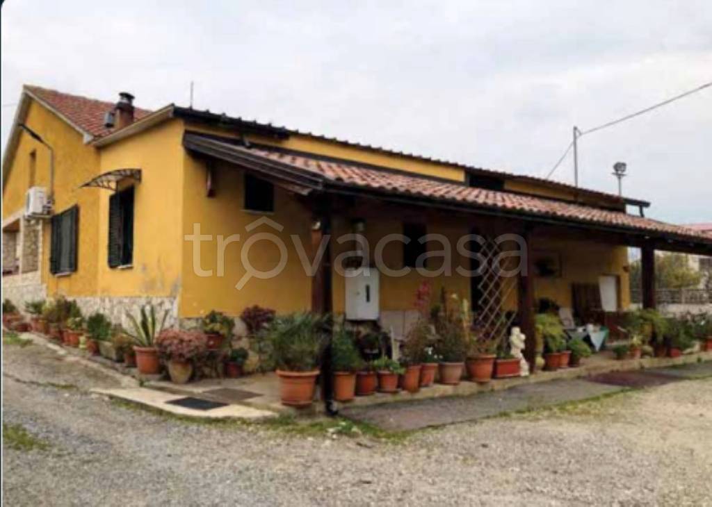 immagine annuncio 3 di 9