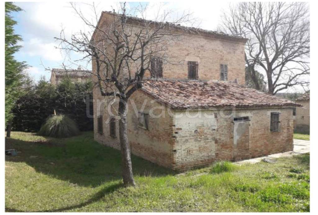 immagine annuncio 2 di 12