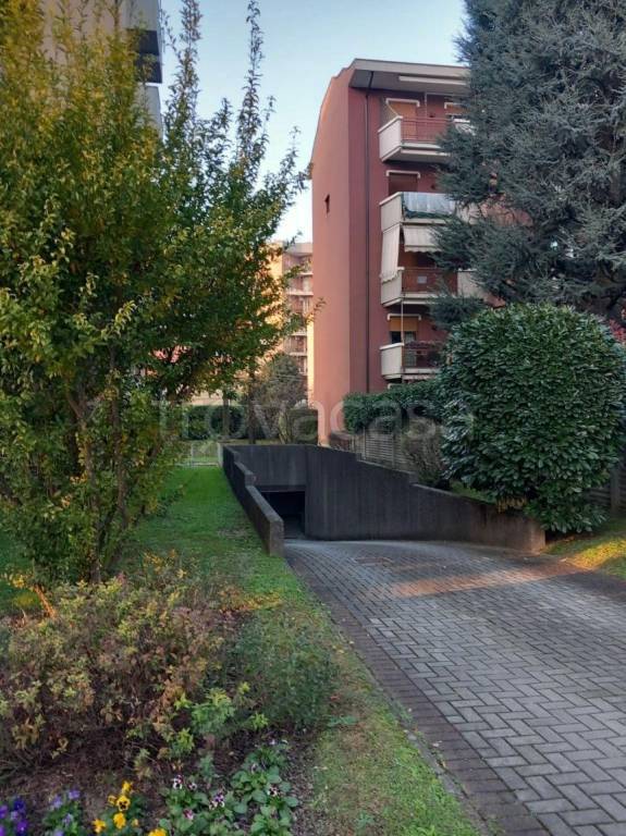 immagine annuncio 11 di 15